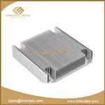 Aluminum Extruded Heat Sinks 